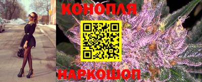 мяу мяу мука Будённовск