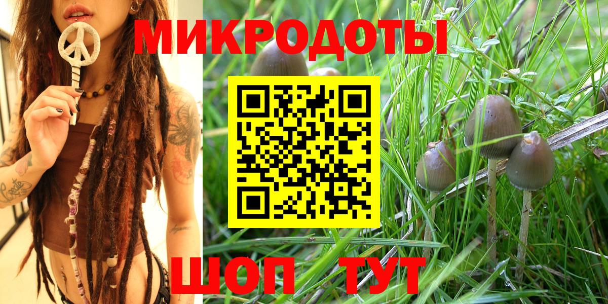 Уфа  Псилоцибиновые грибы Psilocybe  Вход с VPN  Галлюциногенные грибы мицелий 